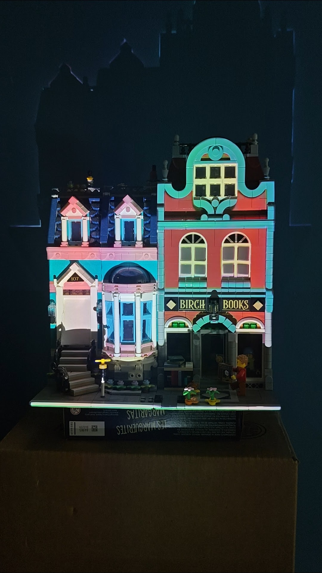 Starry Night projection mapping
